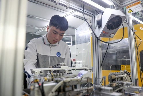 普高之外，多元选择 职高并非终点，技术转让开启新可能